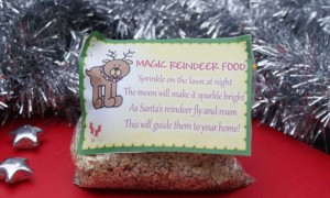 Reindeer Food