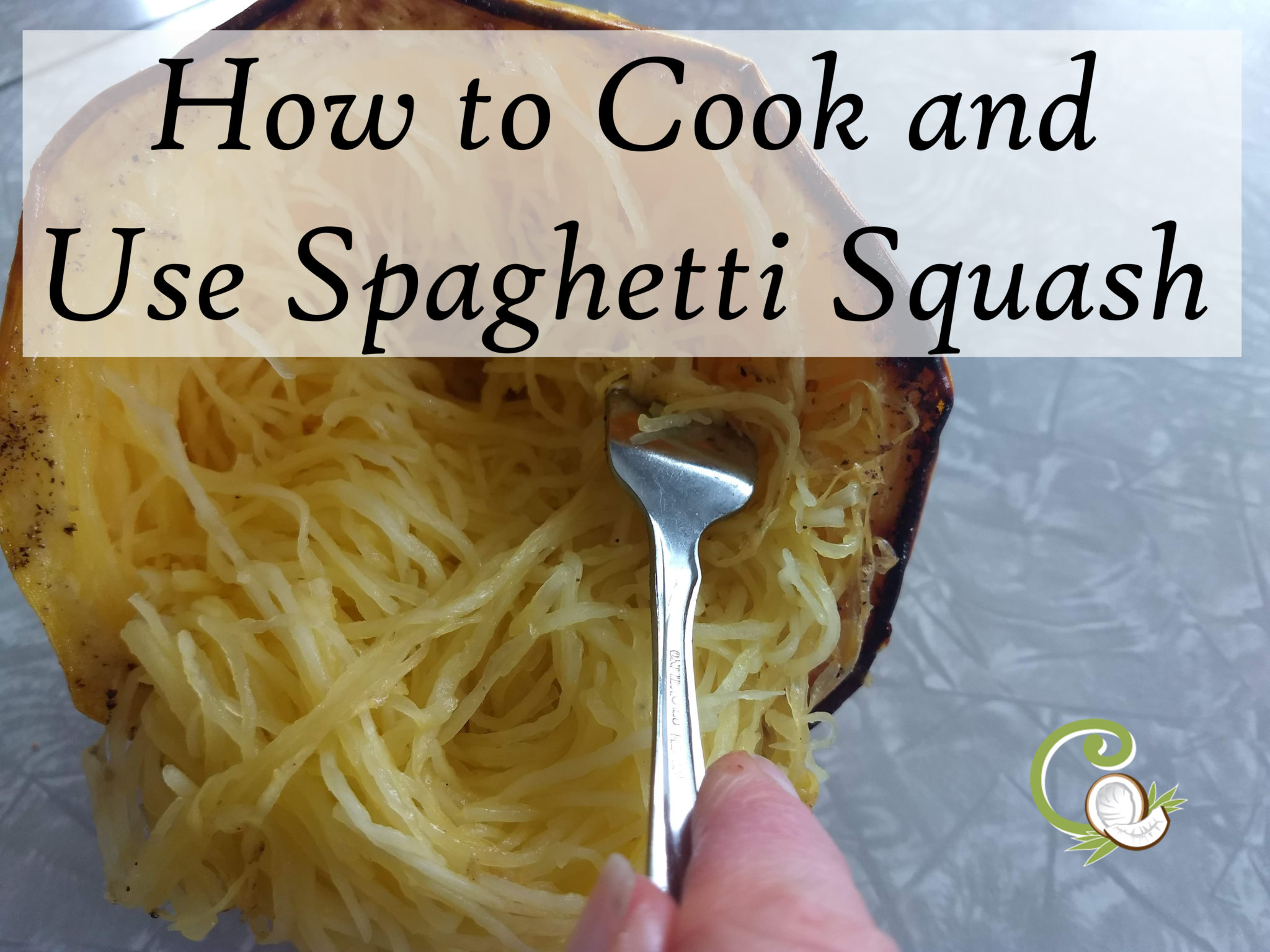 Ultimate Spaghetti Squash Guide – C is For Coconut