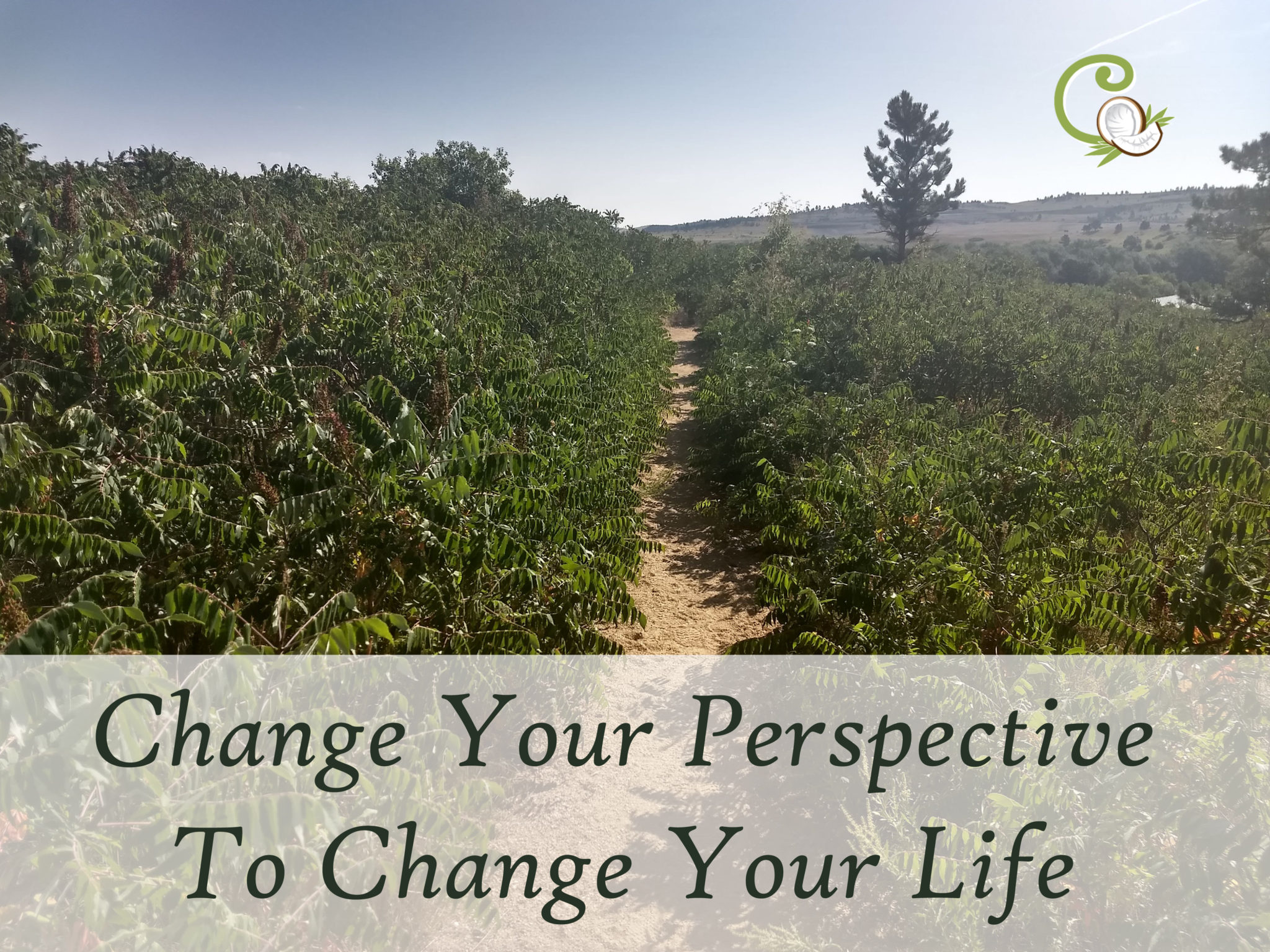 This Curve Room Will Change Your Perspective On [Relevant Topic]